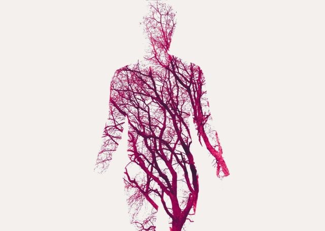 Endotheliitis - Ein Ganzkörperproblem