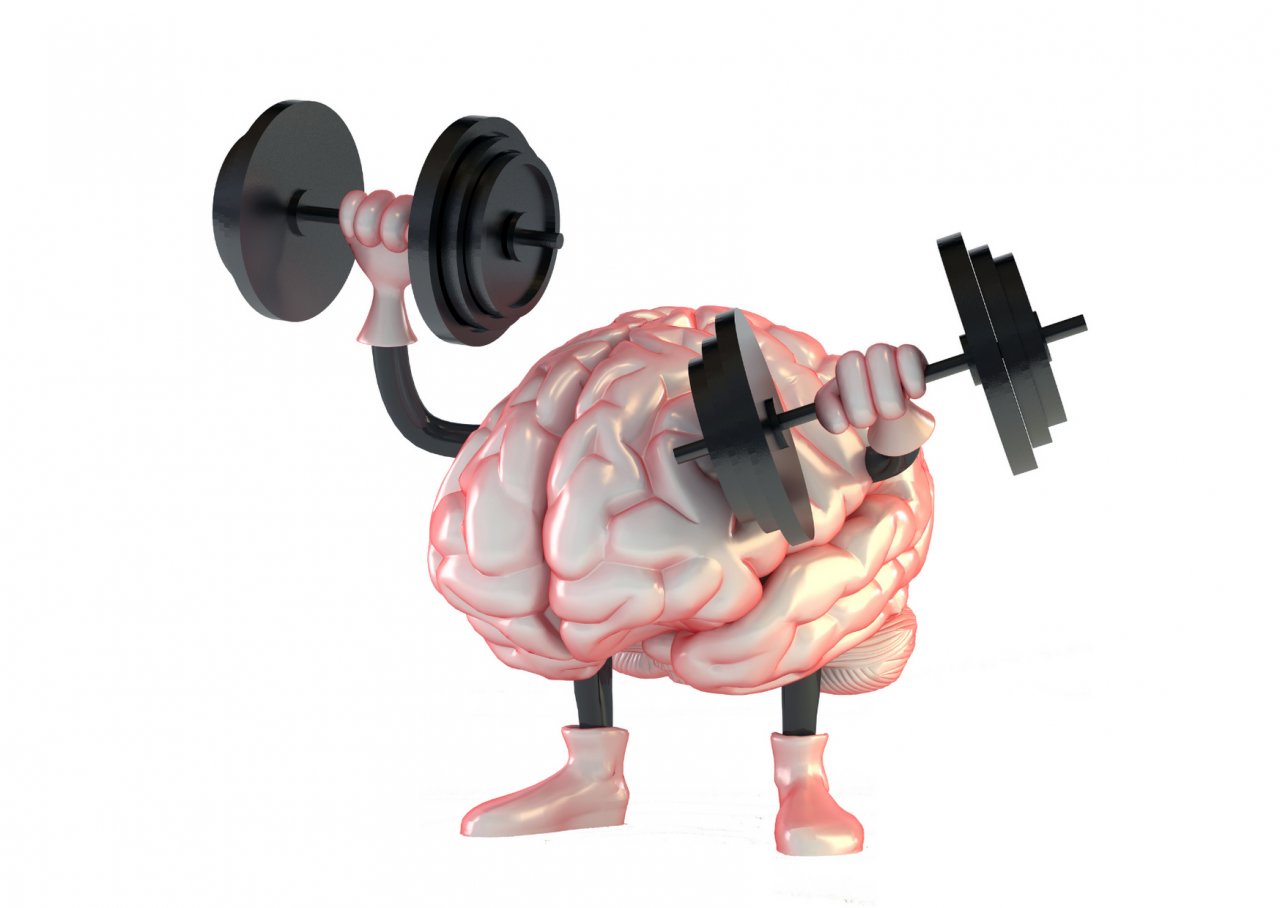 B2ap3 Large Brain Exercise